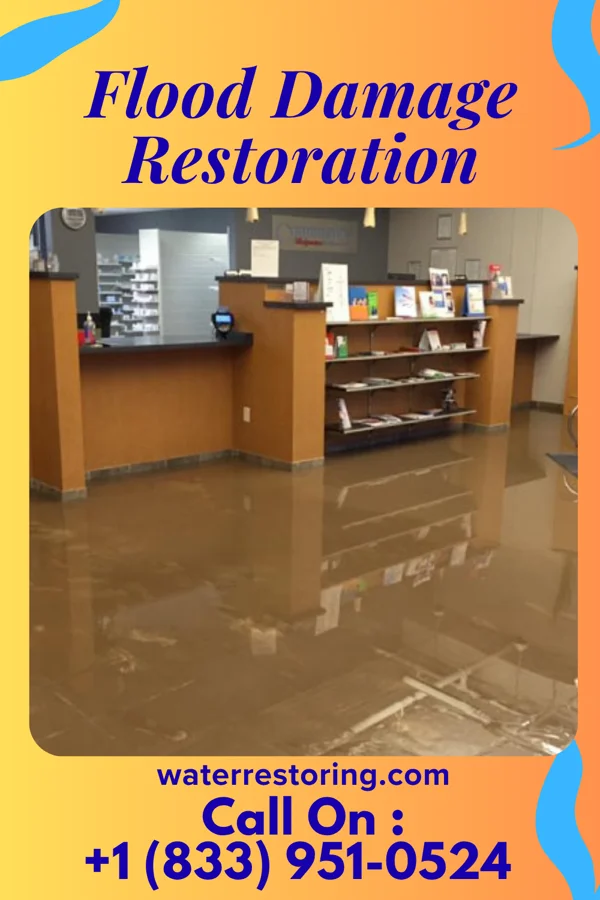 Flood Damage Restoration in Campbellsburg, KY