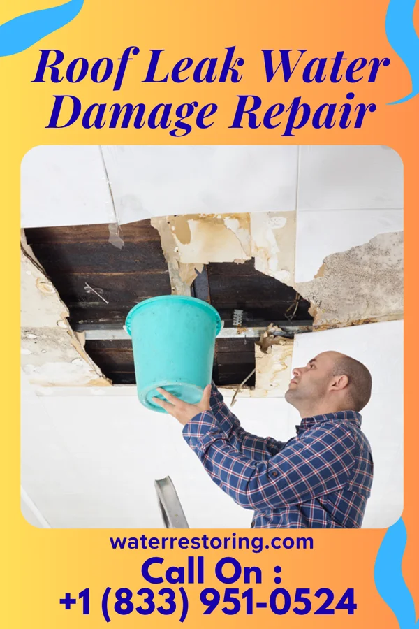 Roof Leak Water Damage Repair in Campbellsburg, KY