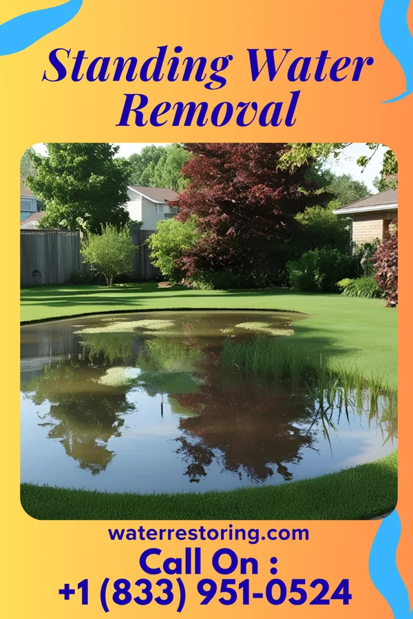Standing Water Removal in Campbellsburg, KY